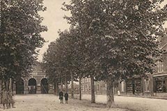 La Ferté-Saint-Aubin - Place de la Halle<br>Carte postale 1908